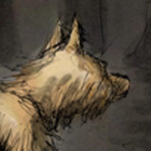 Profile picture for NATE