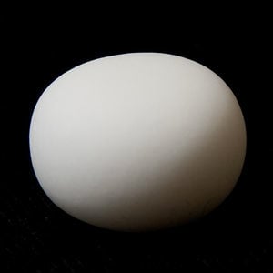 Profile picture for mintimperial