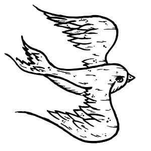 Profile picture for southernswallows