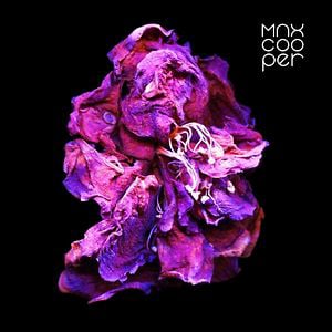 Profile picture for Max Cooper