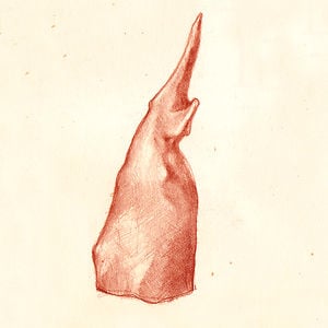 Profile picture for Albert Merino