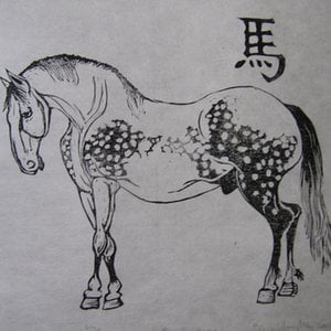 Profile picture for MA Shumin 馬淑敏