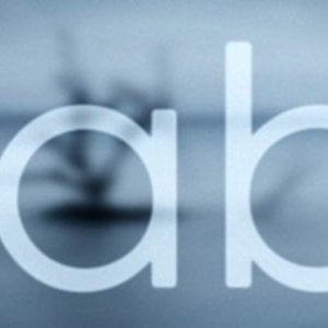 Profile picture for The Sabi Company