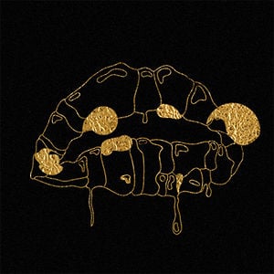 Profile picture for WE ARE PLUNK