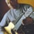 Dwij - David Gittens