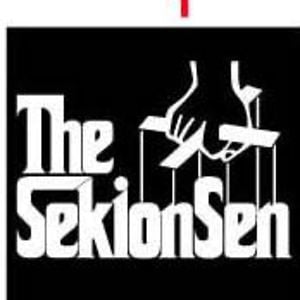 Profile picture for SEKIONSEN