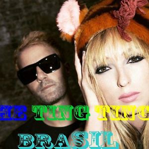 Profile picture for The Ting Tings Brasil