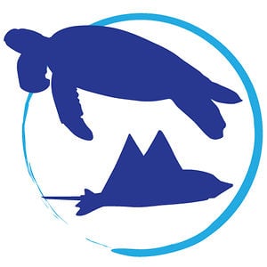 Profile picture for Turtle & Ray Productions