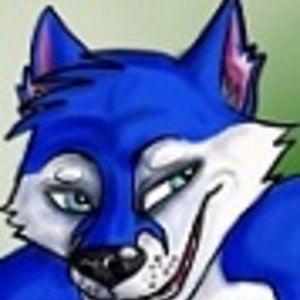 Profile picture for jc husky