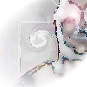 Profile picture for gn0m0n