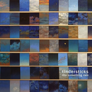 Profile picture for tindersticks