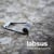 Roser Biel | Labsus