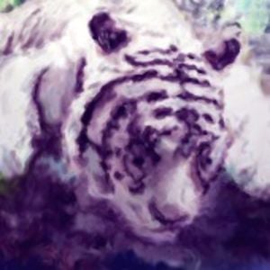 Profile picture for Amy Lai