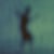 Unpictured