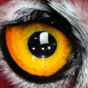 Profile picture for andree O.