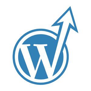 Profile picture for wpSEO