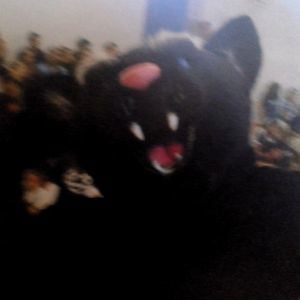 Profile picture for Stand-Up