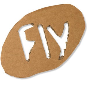 Profile picture for fly