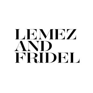 Profile picture for Lemez and Fridel TV