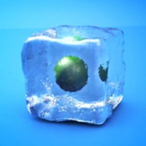 Profile picture for Matt Lewis
