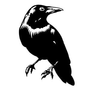 Profile picture for Blackbird™