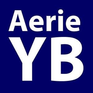 Profile picture for Aerie Yearbook
