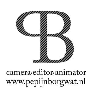 Profile picture for pepijn borgwat