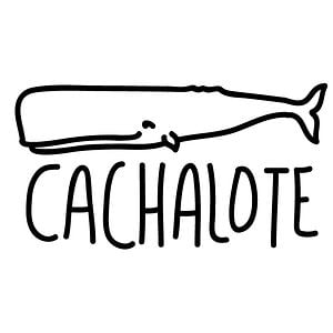 Profile picture for cachalote