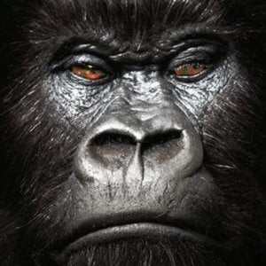 Profile picture for Victor Katilis
