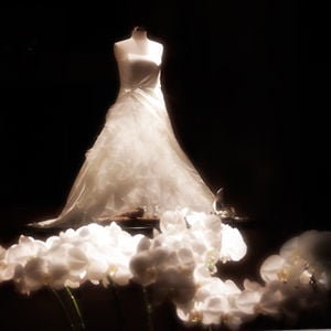 Profile picture for Wedding Films