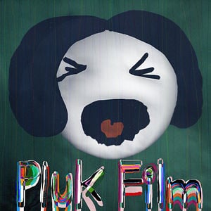 Profile picture for Pluk Film