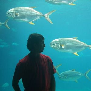 Profile picture for Nishad Chaughule