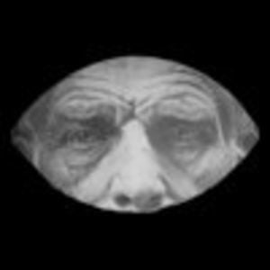 Profile picture for Sala Beckett