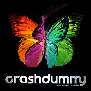 Profile picture for crashdummy.net