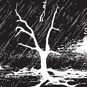 Profile picture for RAINSTORM FILM