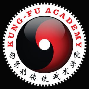 Profile picture for Kung Fu Akadémia