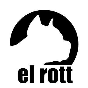 Profile picture for Julien Rotterman aka "el rott"