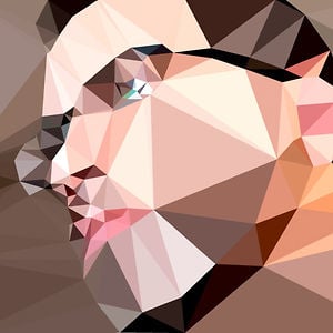 Profile picture for Sam Javanrouh