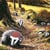 15 Badgers
