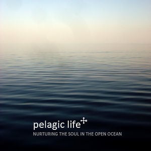 Profile picture for Pelagic Life