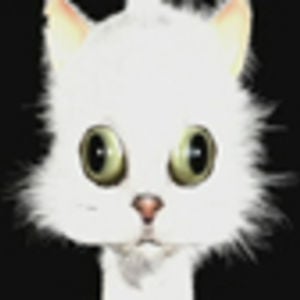 Profile picture for Nicholas Herfst