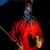Erlend N.H