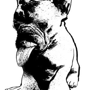 Profile picture for Fred Harper