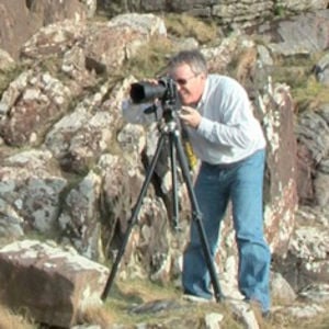 Profile picture for David Watson