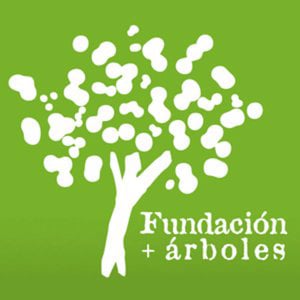 Profile picture for Fundación + árboles