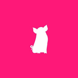 Profile picture for Candy Pig Films