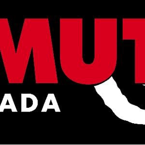 Profile picture for MAMUT SIERRA NEVADA