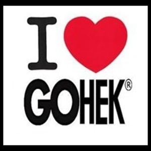 Profile picture for GOHEK