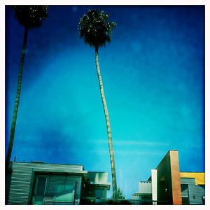 Profile picture for Daily Vacation