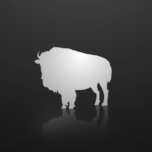 Profile picture for Buffalo Picture House